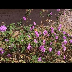 Meet your Posher, Ayla